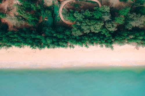 Aerial View of Seashore