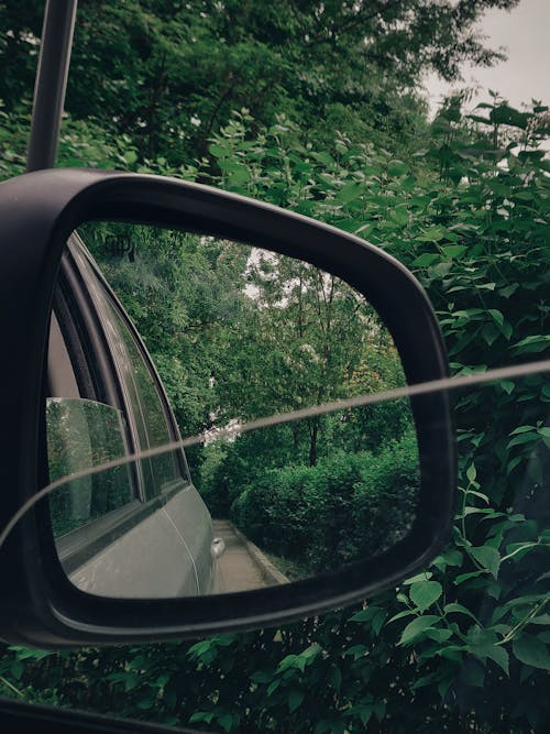 Taking Photo Using Black Vehicle Side Mirror