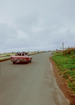 A classic car driving on a coastal road with an overcast sky and lush greenery.
