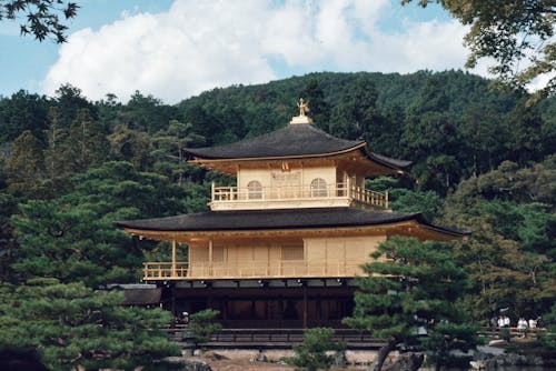 Pagode Cercado Por árvores