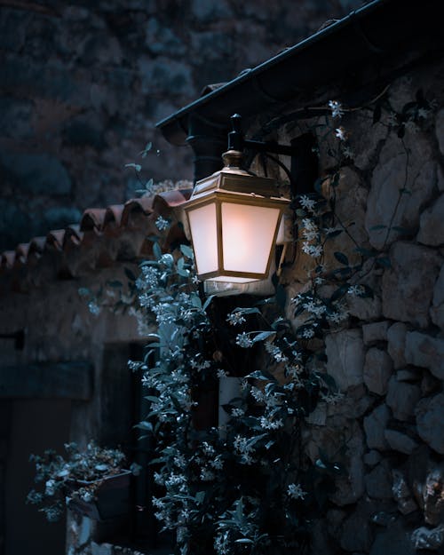 Free stock photo of lantern