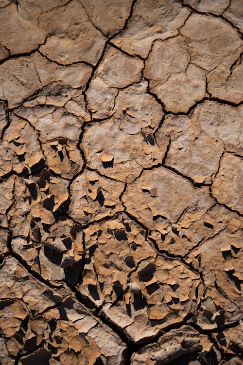Mudcracks in Death Valley