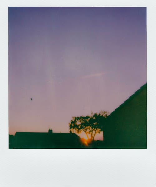 Film Polaroid