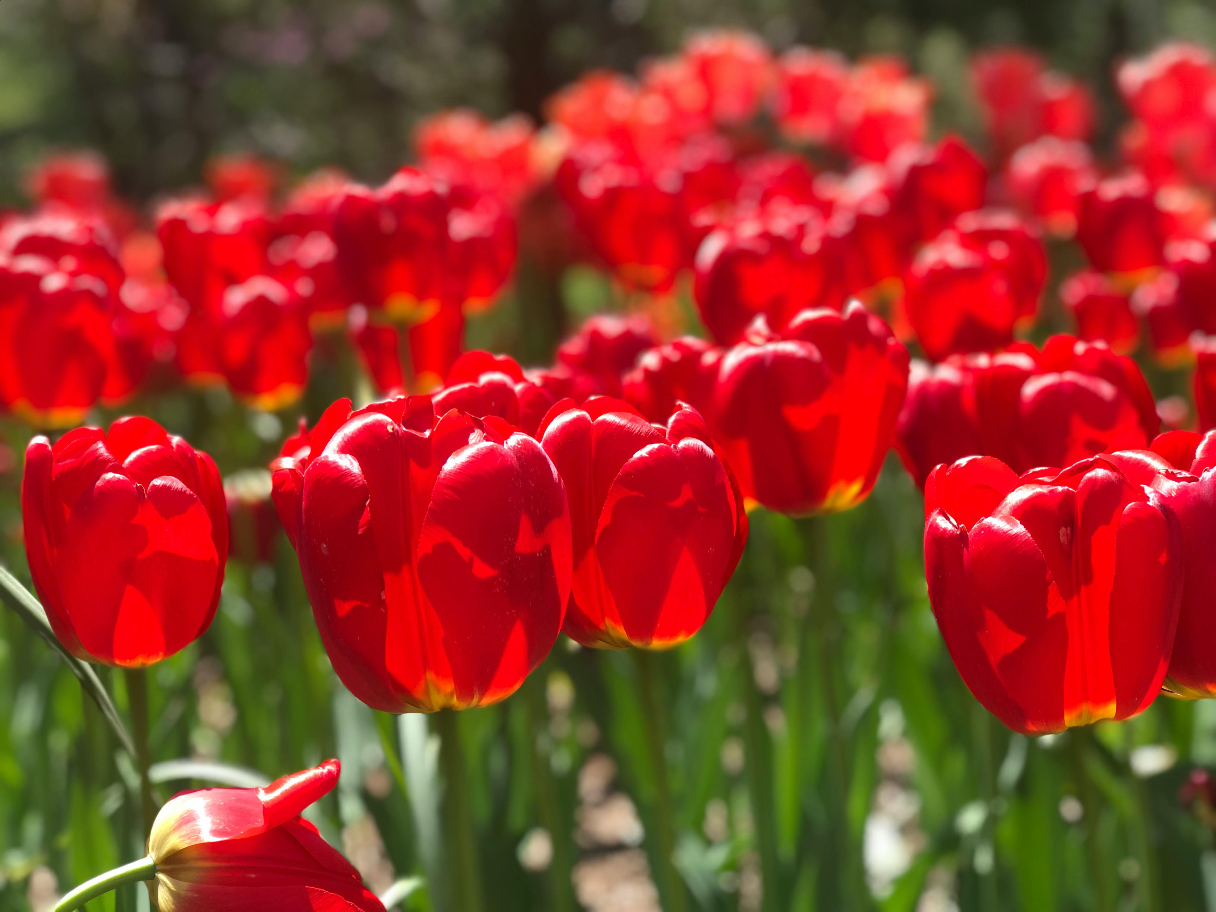 팝업스토어 현장