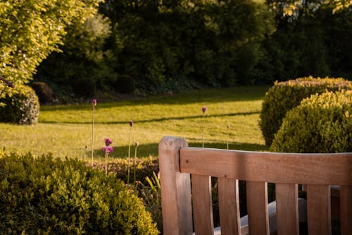 Kostenloses Stock Foto zu garten, gartenbank