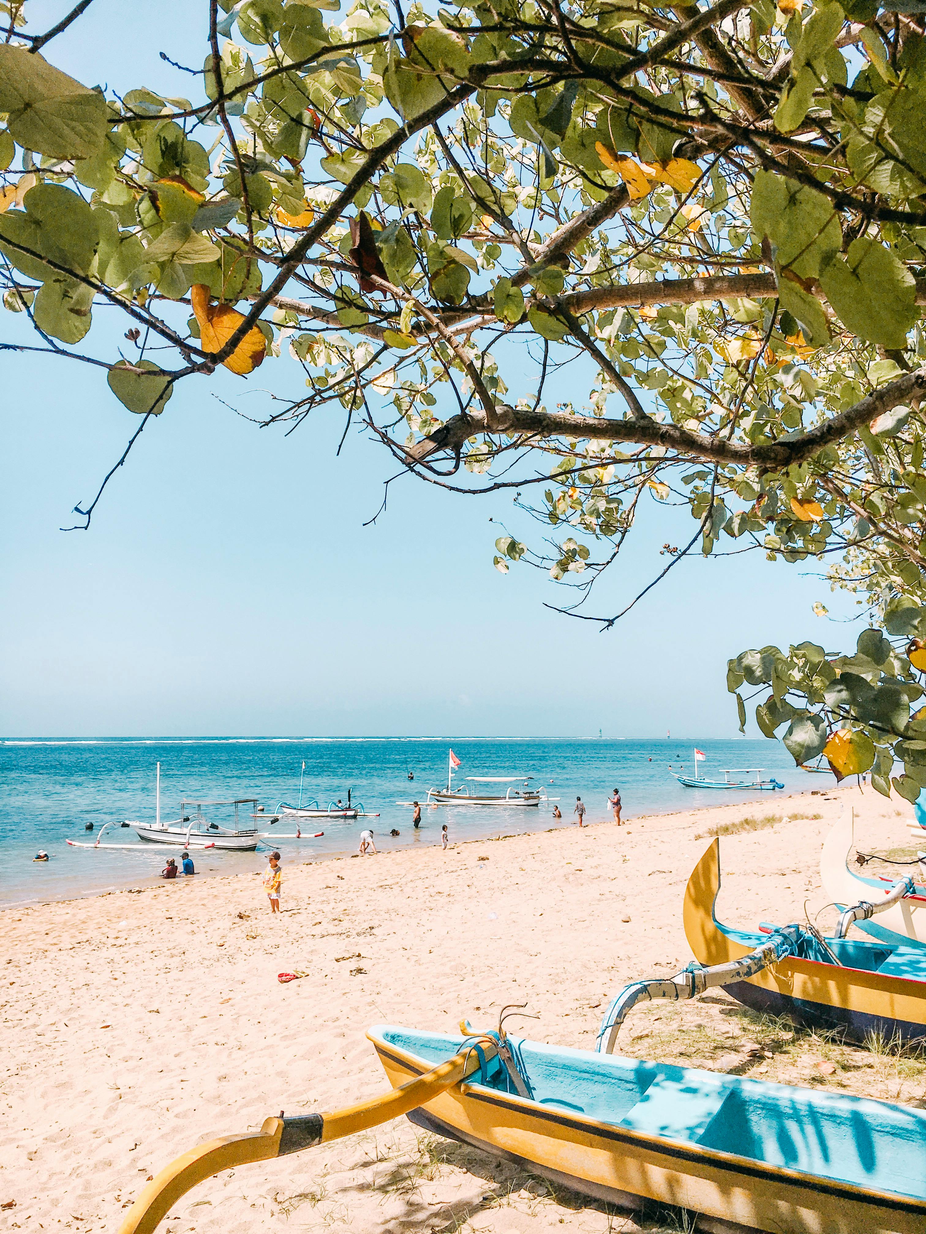 在晴朗的蓝天下，船只和人们正在田园诗般的海滩上享受阳光明媚的一天