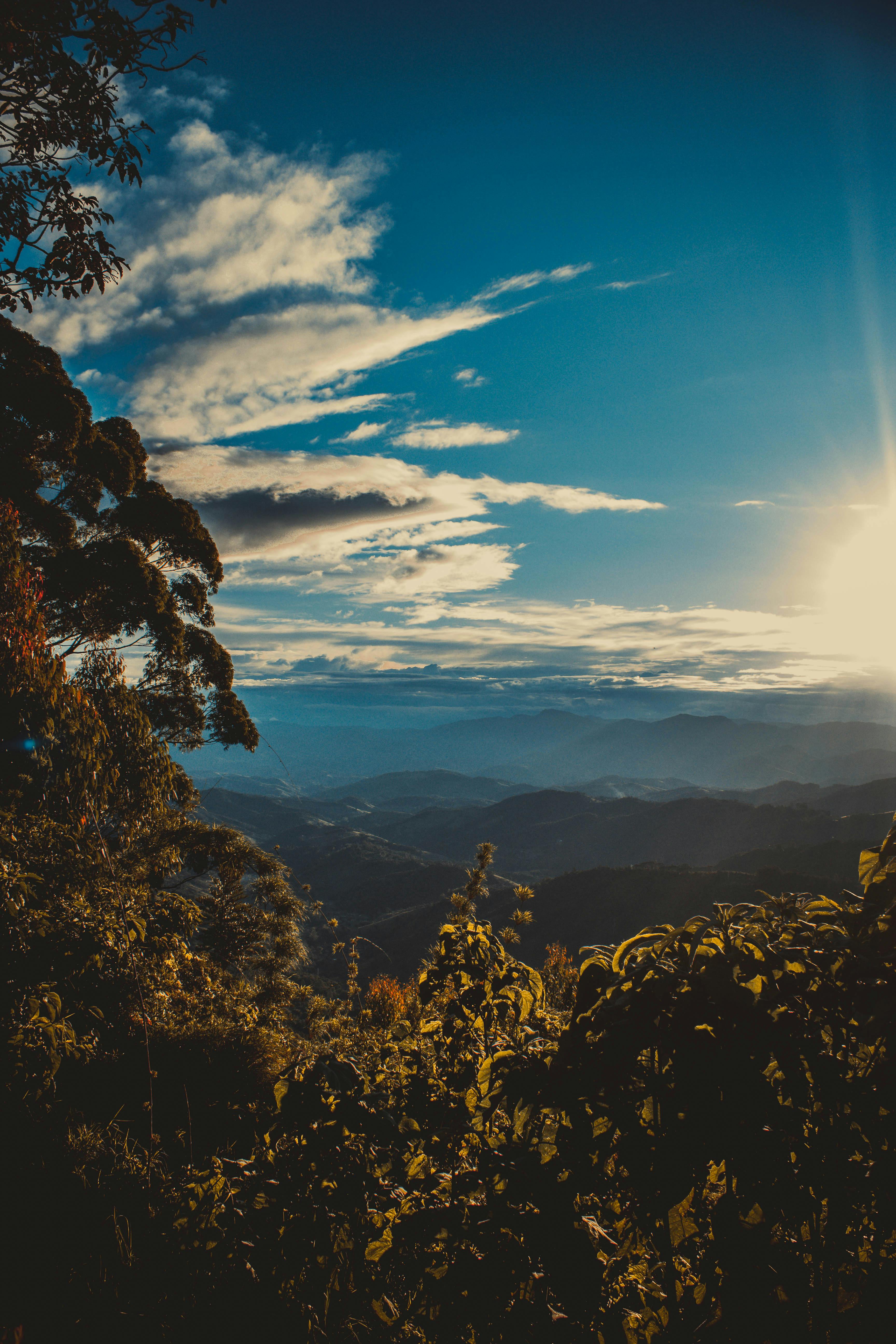 阳光明媚的山间森林，映衬在蔚蓝的天空和云层之下