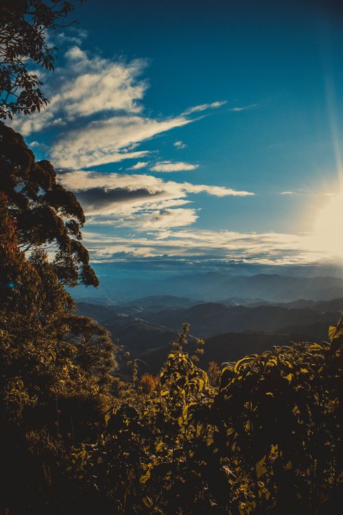 Free Scenic landscape of a sunlit mountain forest under a dramatic blue sky and clouds. Stock Photo