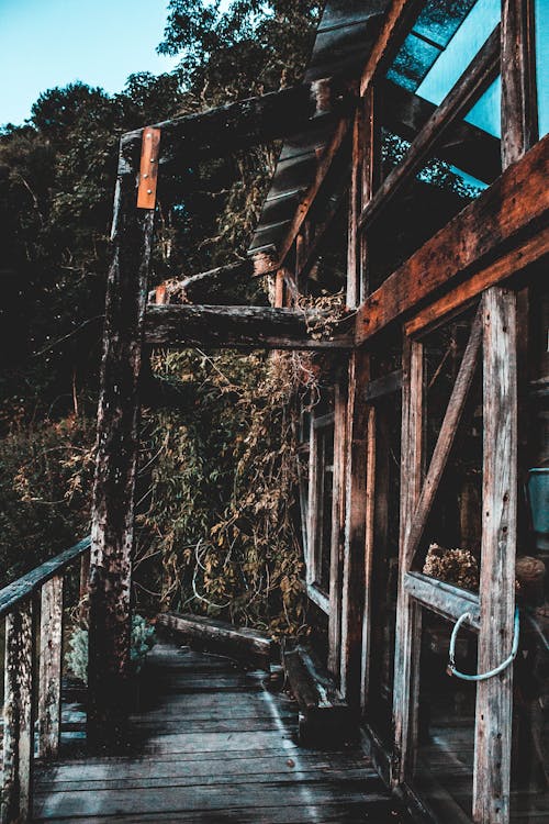 2025年南岸風力海洋研究資金危機:如何影響2026年鯨魚生態與再生能源決策? 2025年南岸風力海洋研究資金危機:如何影響2026年鯨魚生態與再生能源決策?