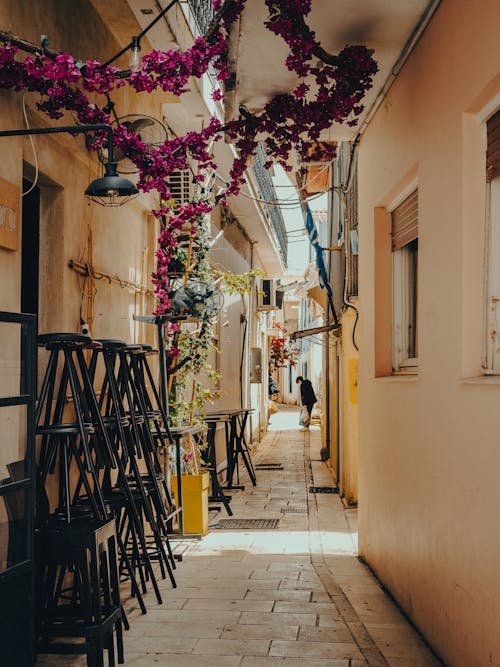 A narrow alley with flowers hanging from the ceiling