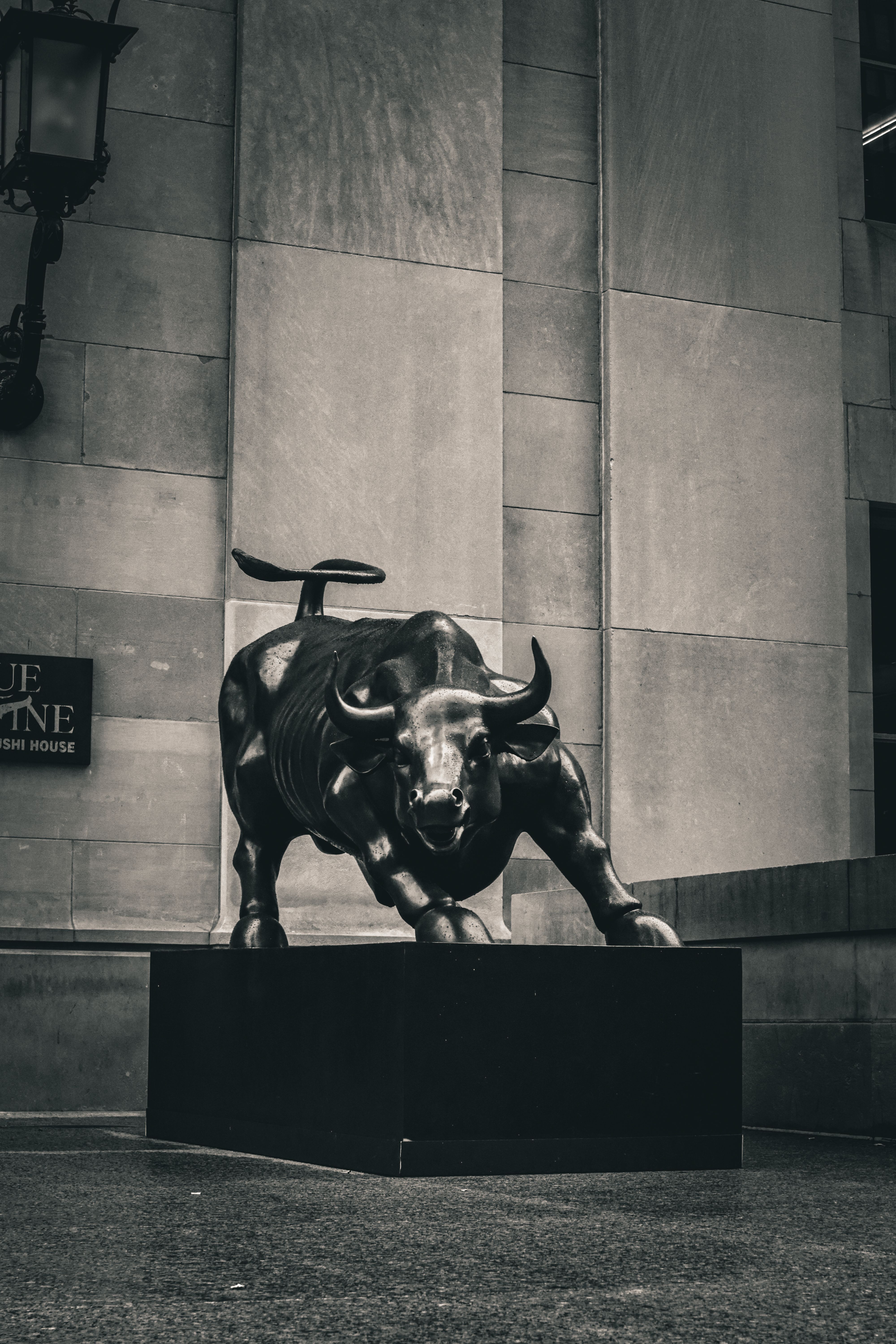 Charging Bull in der Nähe der Wall Street in New York City, Vereinigte Staaten, fotografiert als bedeutendes Wahrzeichen des Finanzdistrikts.