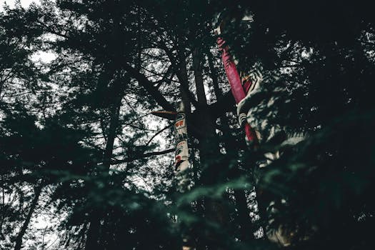 Captivating shot of a totem pole among dense trees, creating a mysterious ambiance in Vancouver.