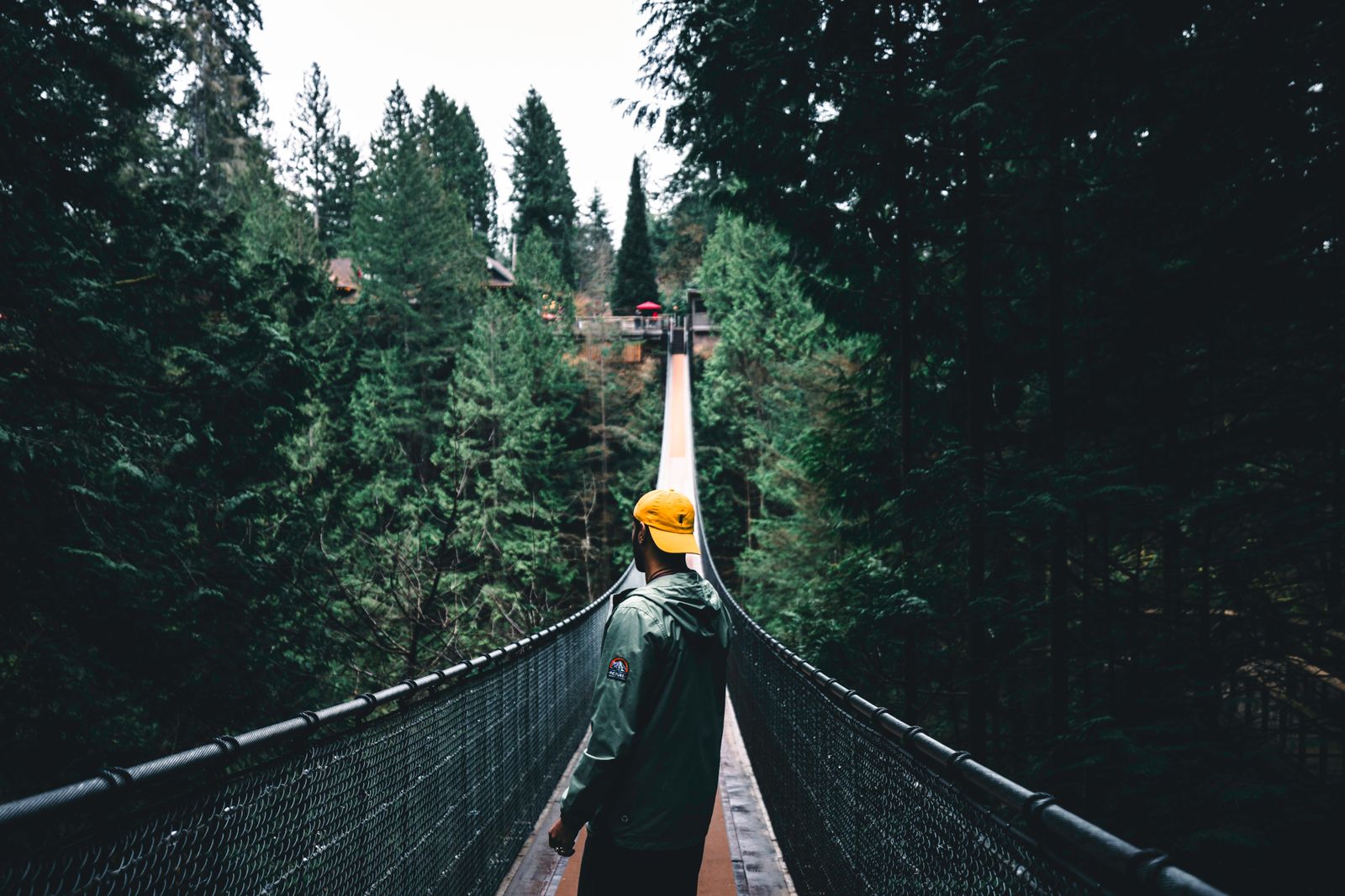 The North Shore's canyons are close enough for a half-day, wild enough to forget you're in a city