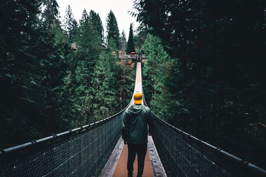 Capilano suspension bridge and canyon — Vancouver