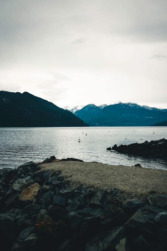 The Westin Bayshore