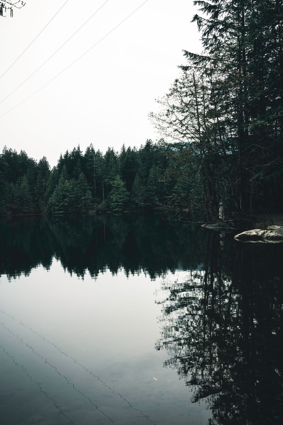 A calm boreal lake mirroring a dense wall of evergreen conifers, a classic Canadian Shield shoreline