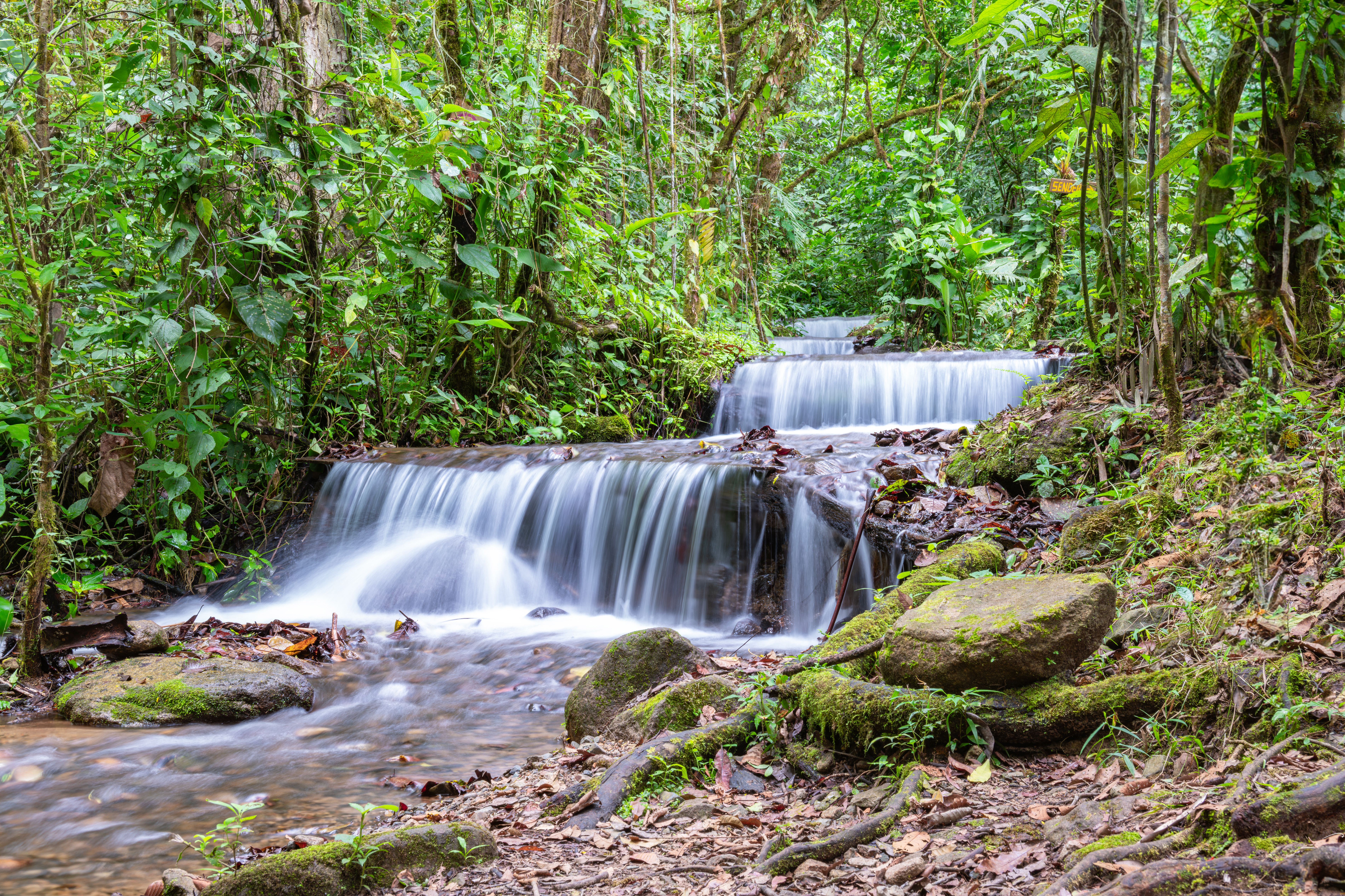 streaming discovery discovery streaming ita — Photo by Enrique Hidalgo on Pexels