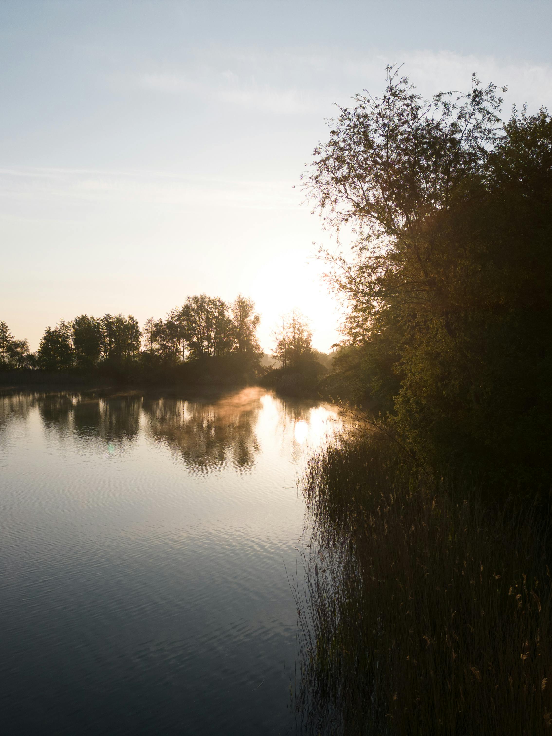 forest and lake in countryside at sunset