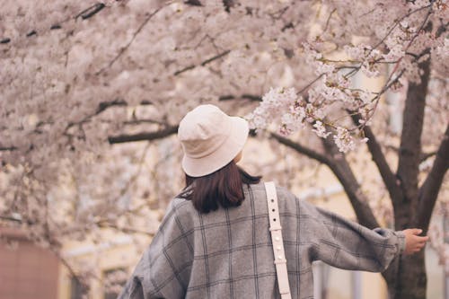 Безкоштовне стокове фото на тему «весна, вид ззаду, відро капелюх»