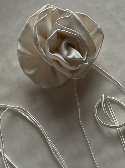 A white rose with a ribbon on it