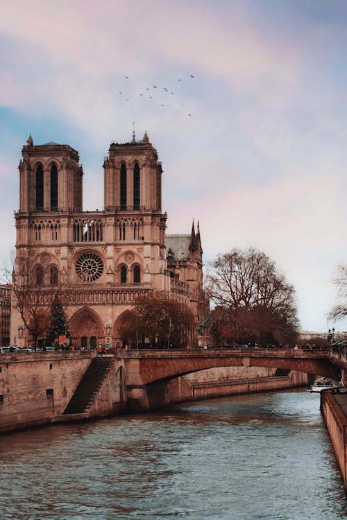 Δωρεάν στοκ φωτογραφιών με notre dame de παρίσι, αρχιτεκτονική, γέφυρα