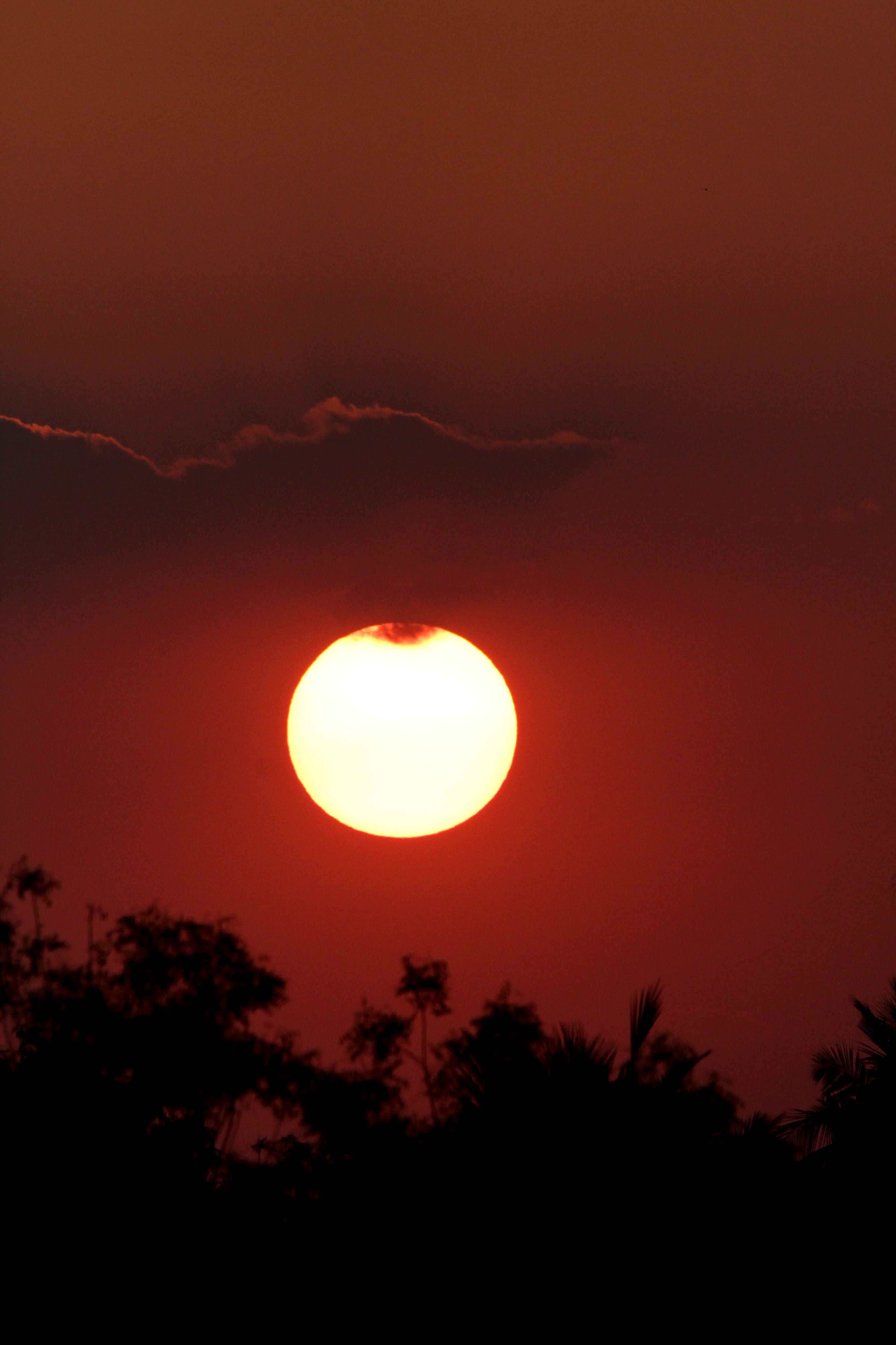 Scenic View of the Setting Sun · Free Stock Photo
