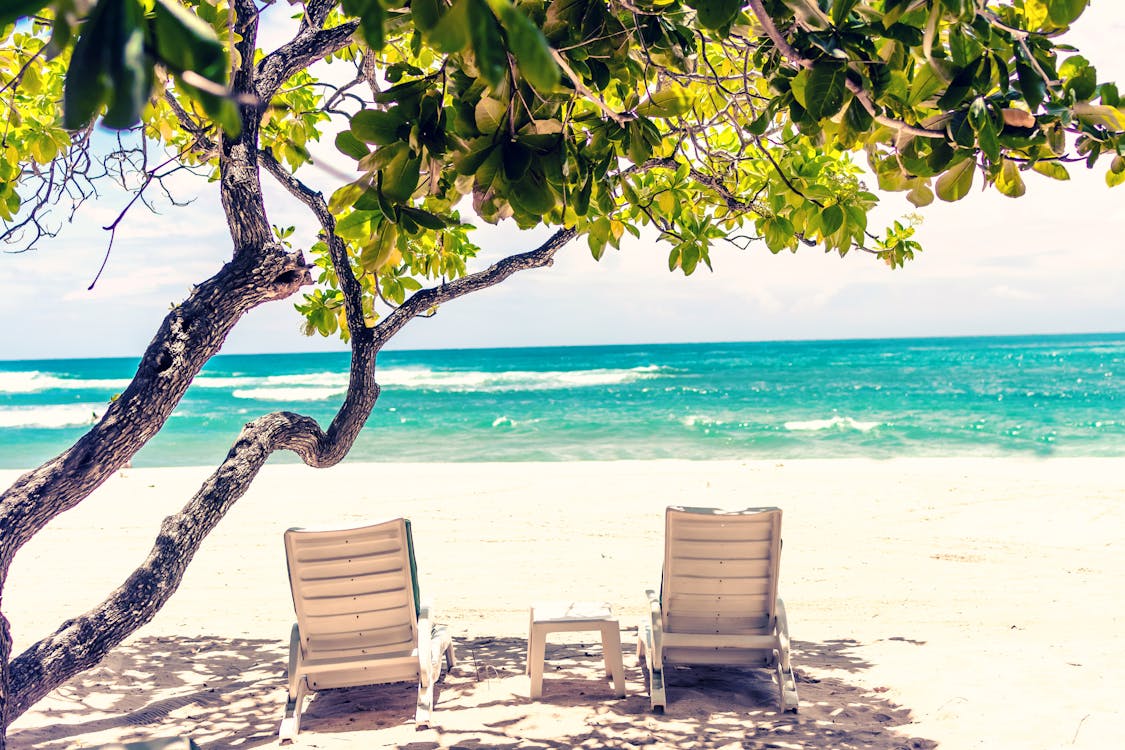 Idyllic Escape: Island in the Caribbean 6 A view of the beach with two recliners placed below a tree at a seashore.