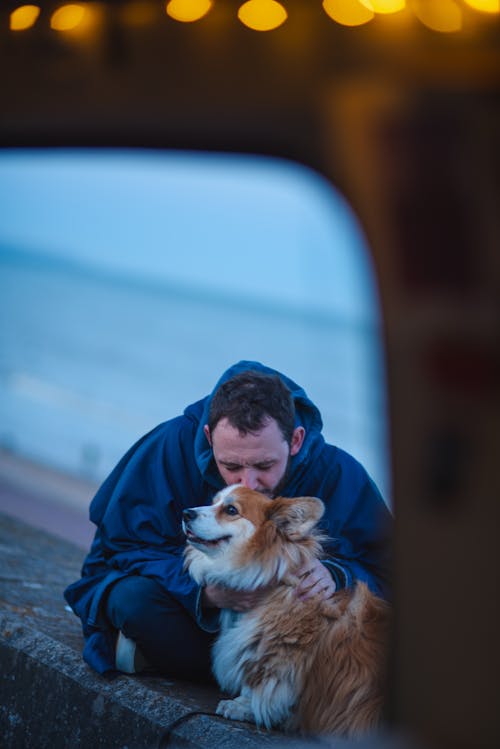 Gratis stockfoto met beest, binnen, buiten