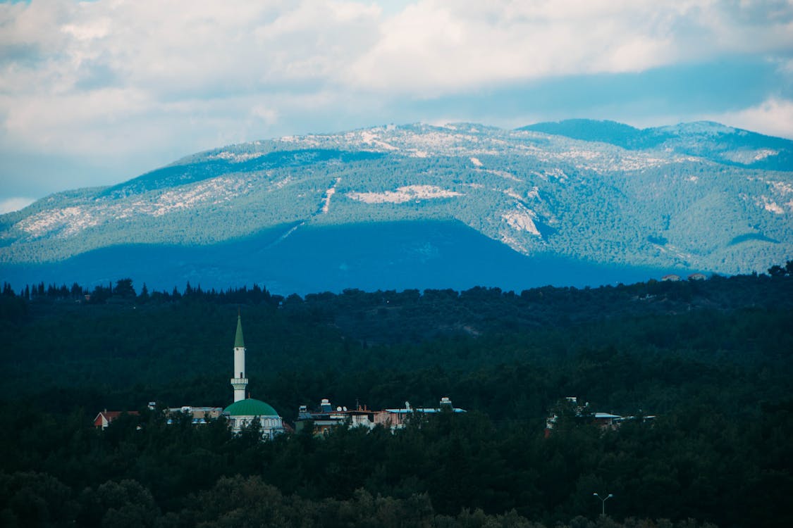 Foto d'estoc gratuïta de a l'aire lliure, alt, arbres