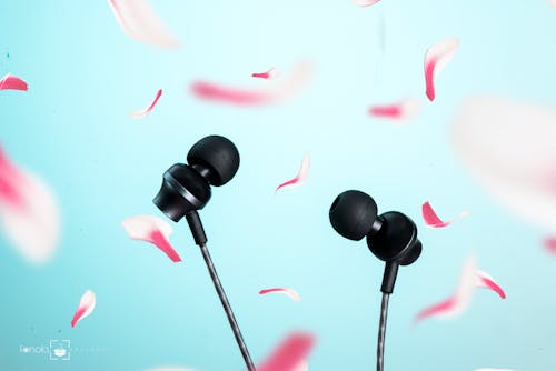 Free stock photo of audio, earphones, fonoksphotobox