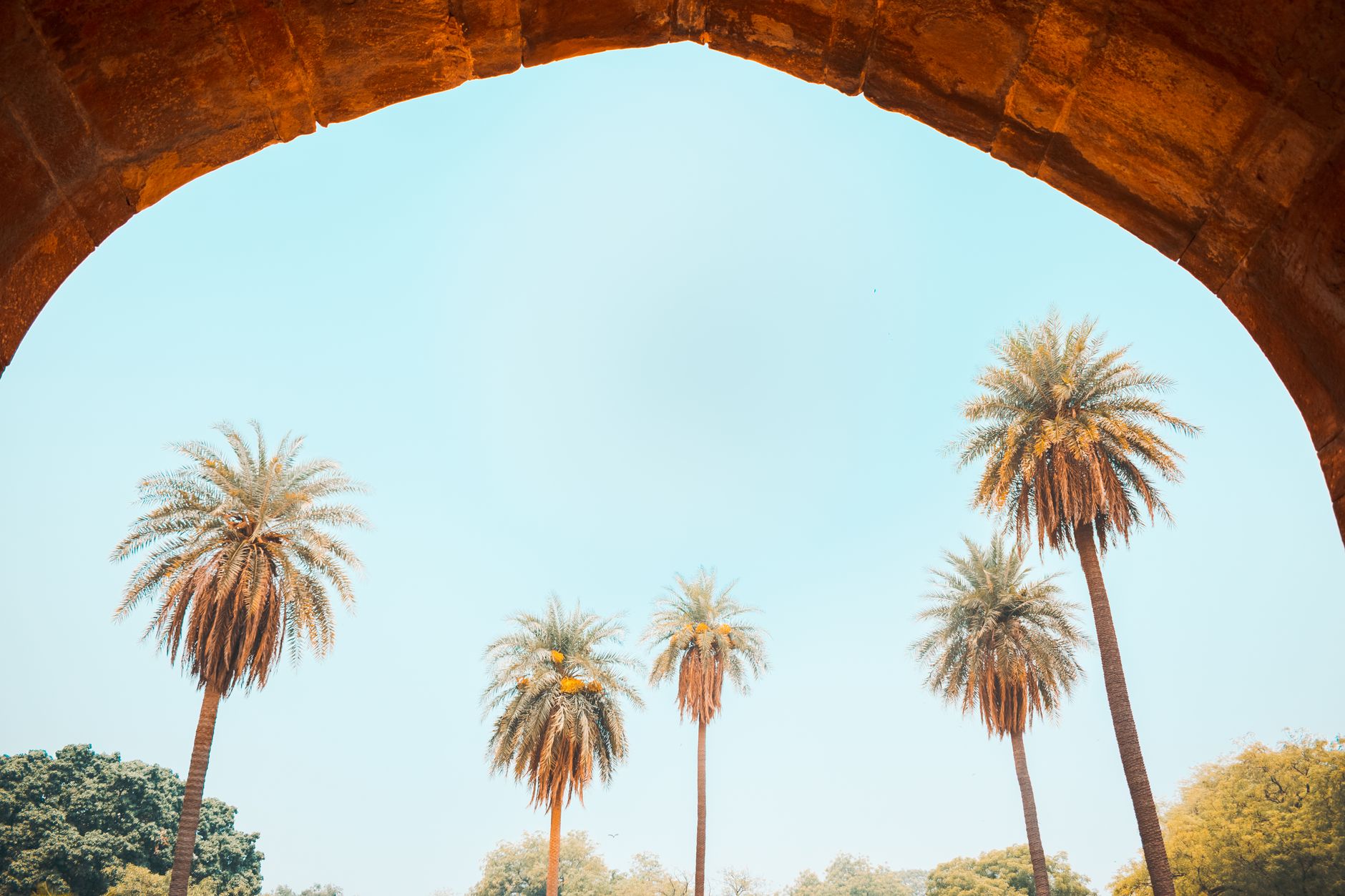 Delhi heat index hits 45.5°C; IMD forecasts light rain on Tuesday