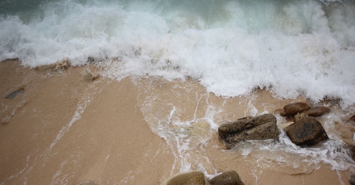 Key takeaways and highlights for Why King Tides Are Getting Worse On The Kapiti Coast