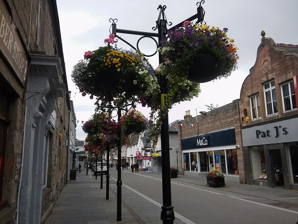 Free stock photo of dingwall, flowers, high street