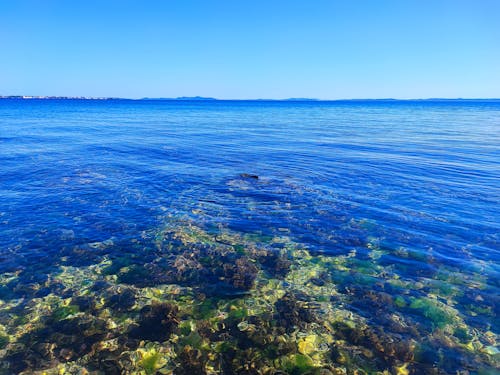 Kostenloses Stock Foto zu adriatisches meer, beruhigendes blaues wasser, blaues meer