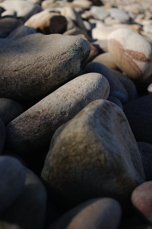 Безкоштовне стокове фото на тему «баланс, брущатий камінь, валун»