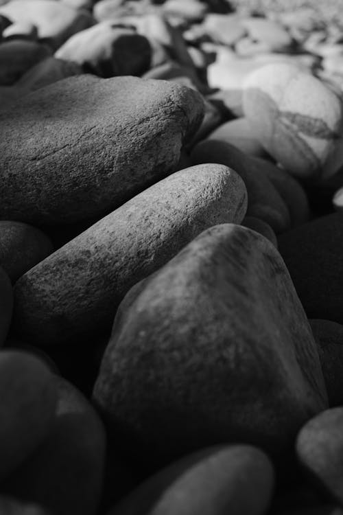 Black and white photograph of rocks and pebbles