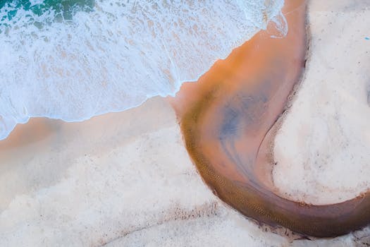 A mesmerizing aerial shot capturing the curves of a sandy beach meeting turquoise waves.
