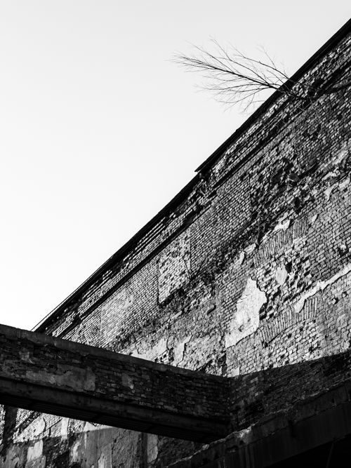Free Low angle view of an abandoned brick building showing signs of decay. Stock Photo