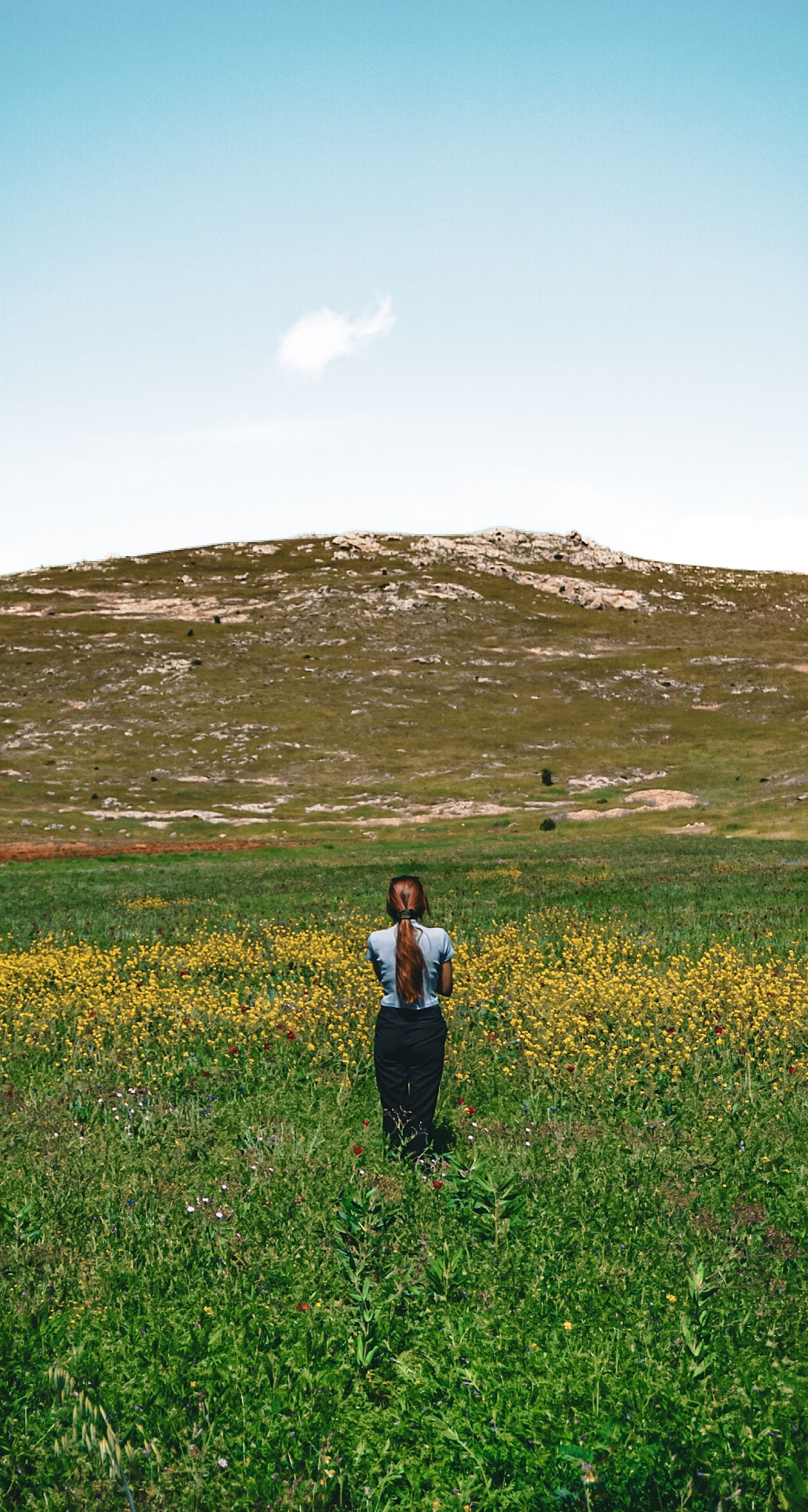[ColoSach]-back-view-of-a-woman-standing-in-a-sunny-meadow-facing-hills-under-a-clear-sky.