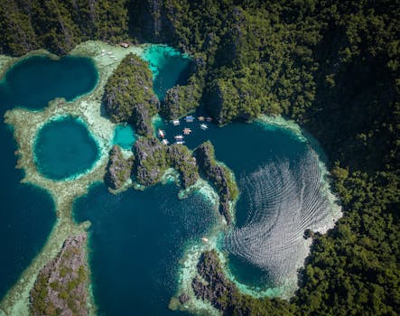 Stunning aerial view of vibrant blue lakes and lush greenery in Coron, Philippines.