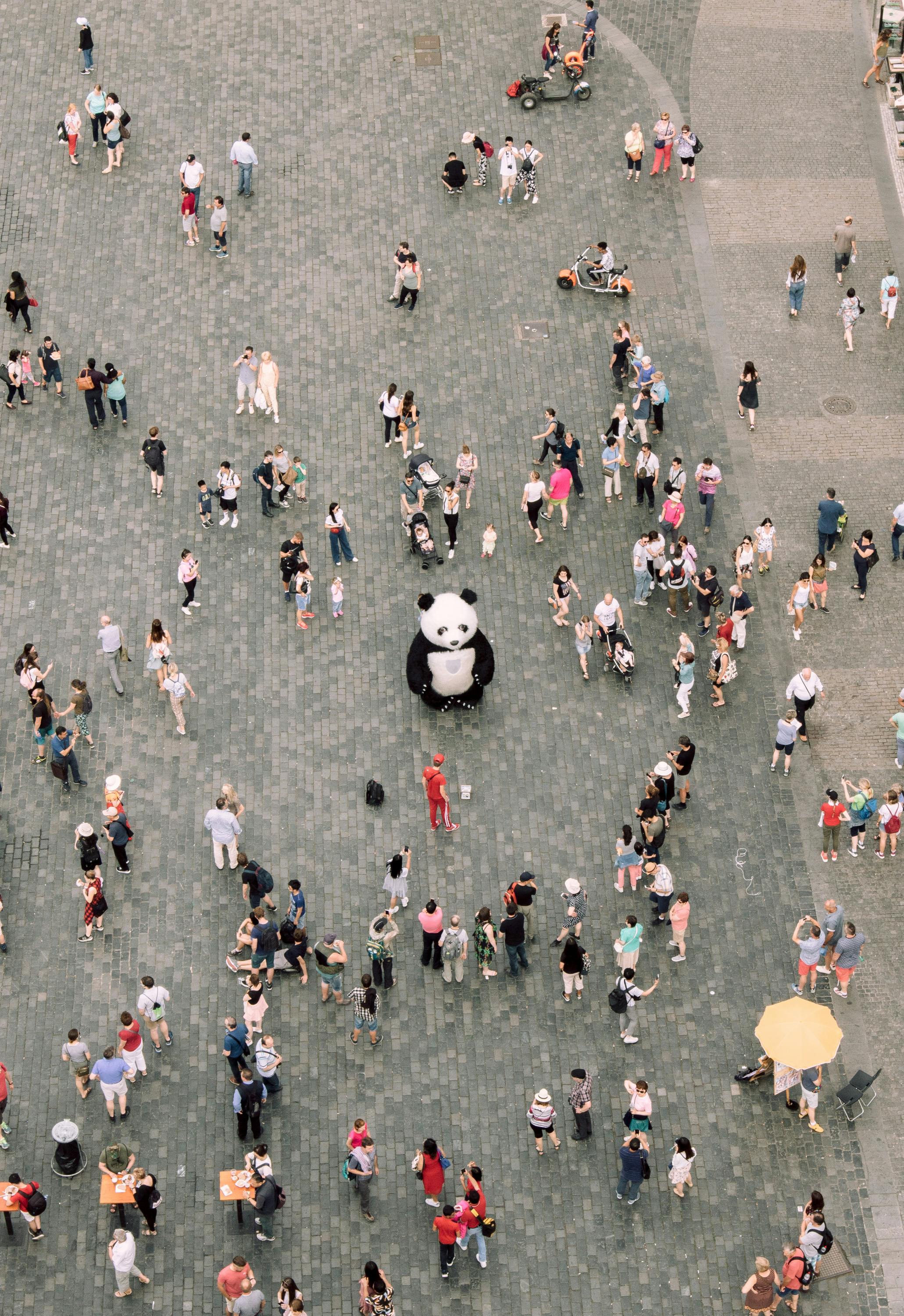 people gathered watching a panda mascot