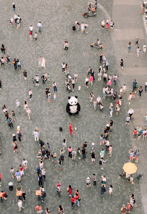 Free People Gathered Watching A Panda Mascot Stock Photo