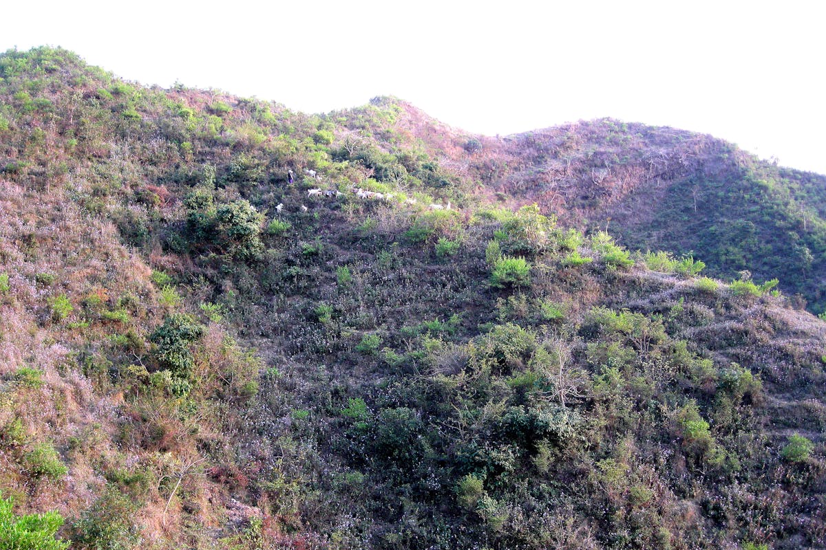 外星文明像螢火蟲般閃爍?2026年SETI搜尋將如何捕捉這些隱藏訊號 外星文明像螢火蟲般閃爍?2026年SETI搜尋將如何捕捉這些隱藏訊號