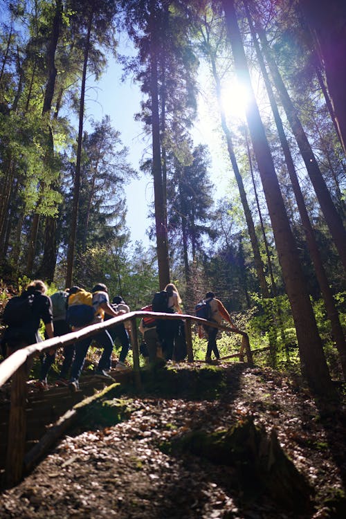 คลังภาพถ่ายฟรี ของ schweiz, กลุ่มคน, การปีนเขา