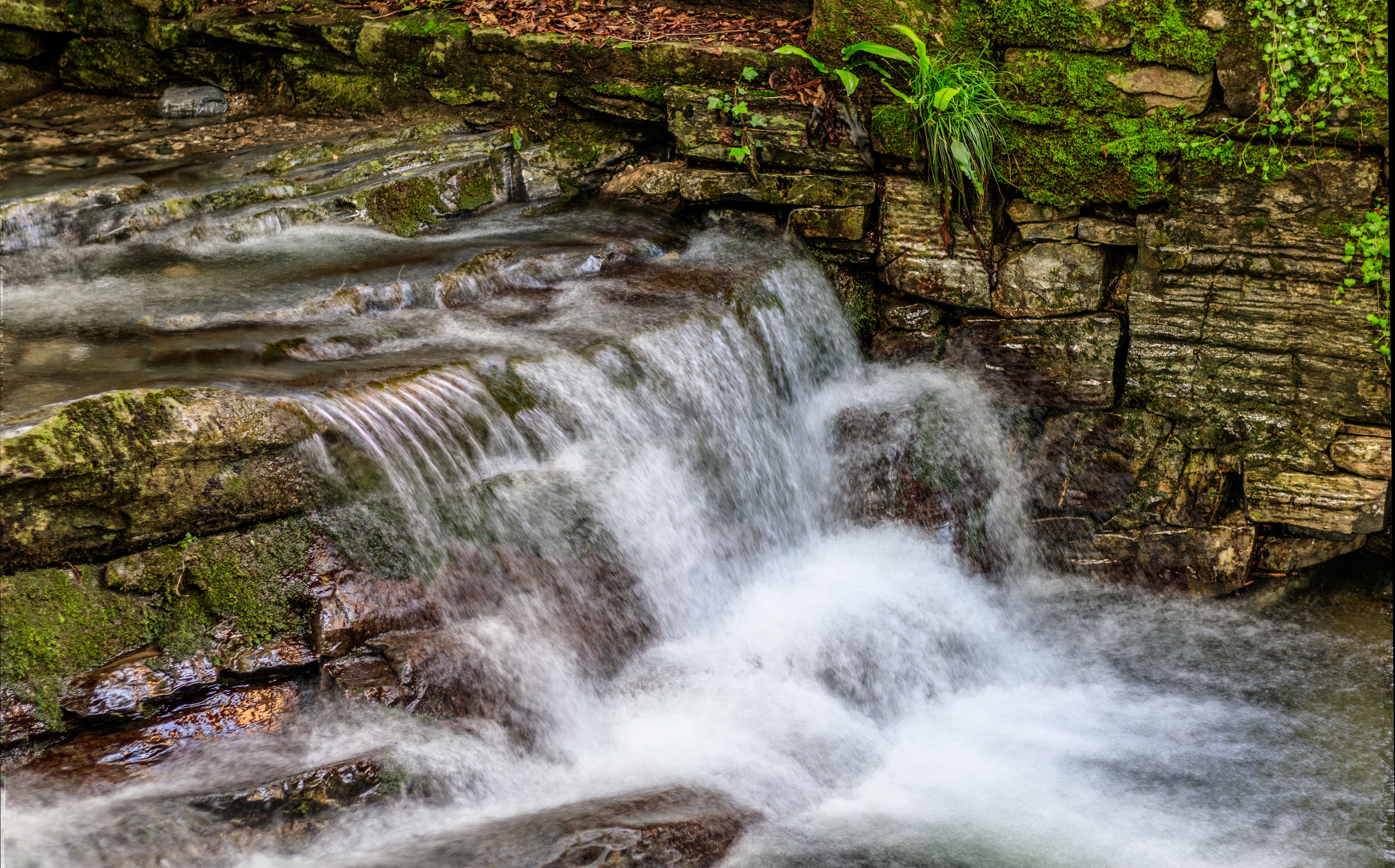 Photo of a Waterfall · Free Stock Photo