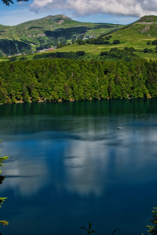 açık hava, ağaç, ayna içeren Ücretsiz stok fotoğraf