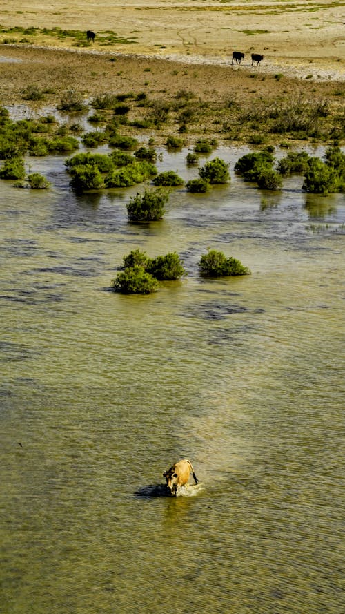 Darmowe zdjęcie z galerii z basen, brzeg rzeki, jezioro