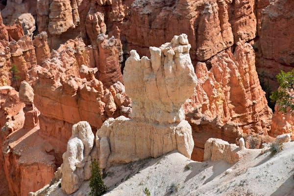Bryce Canyon Hoodoos