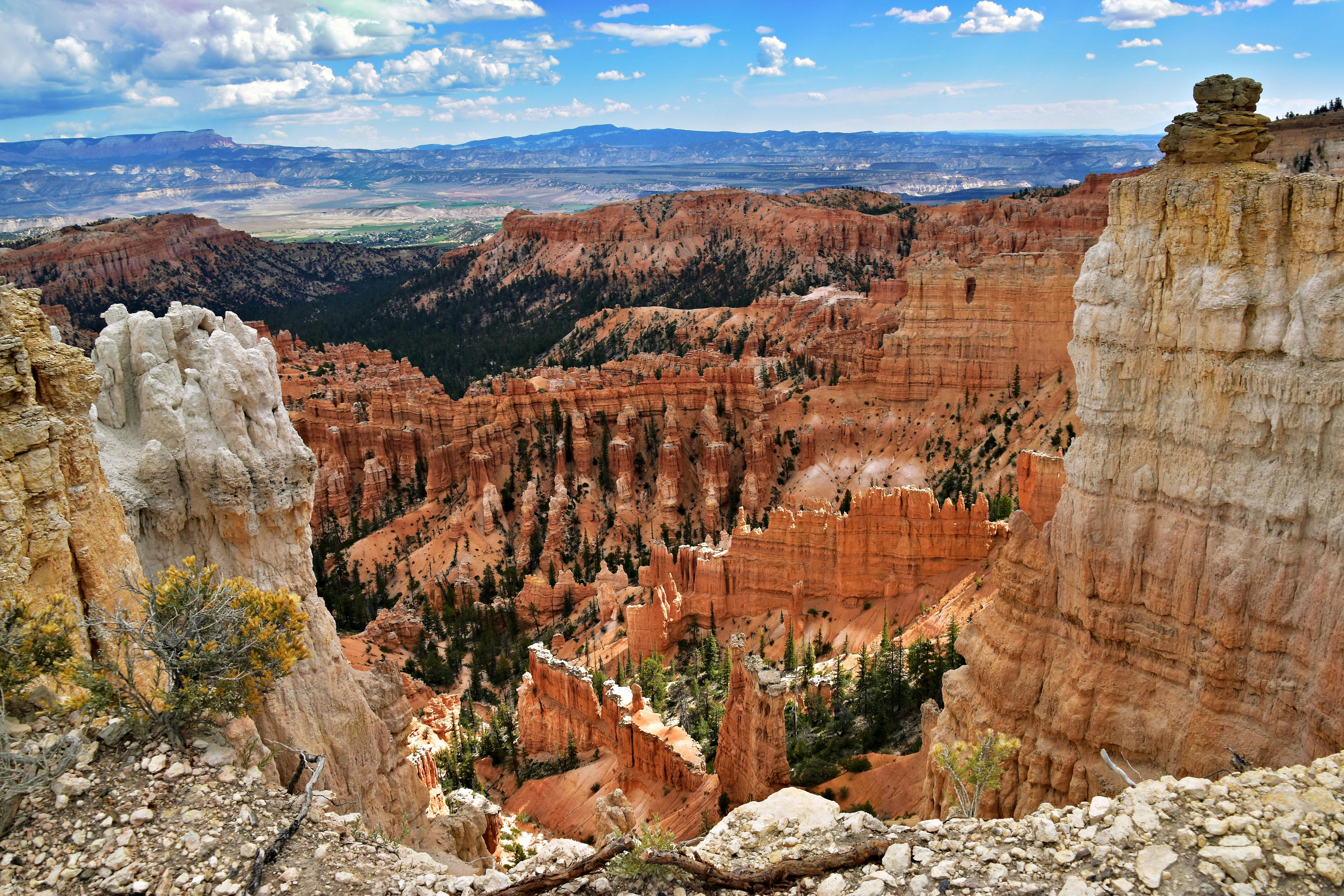 2026 Canyon Lux World Cup CFR Drops In On More Travel, Lower Weight for South Korea WC — Photo by Jeffrey Eisen on Pexels