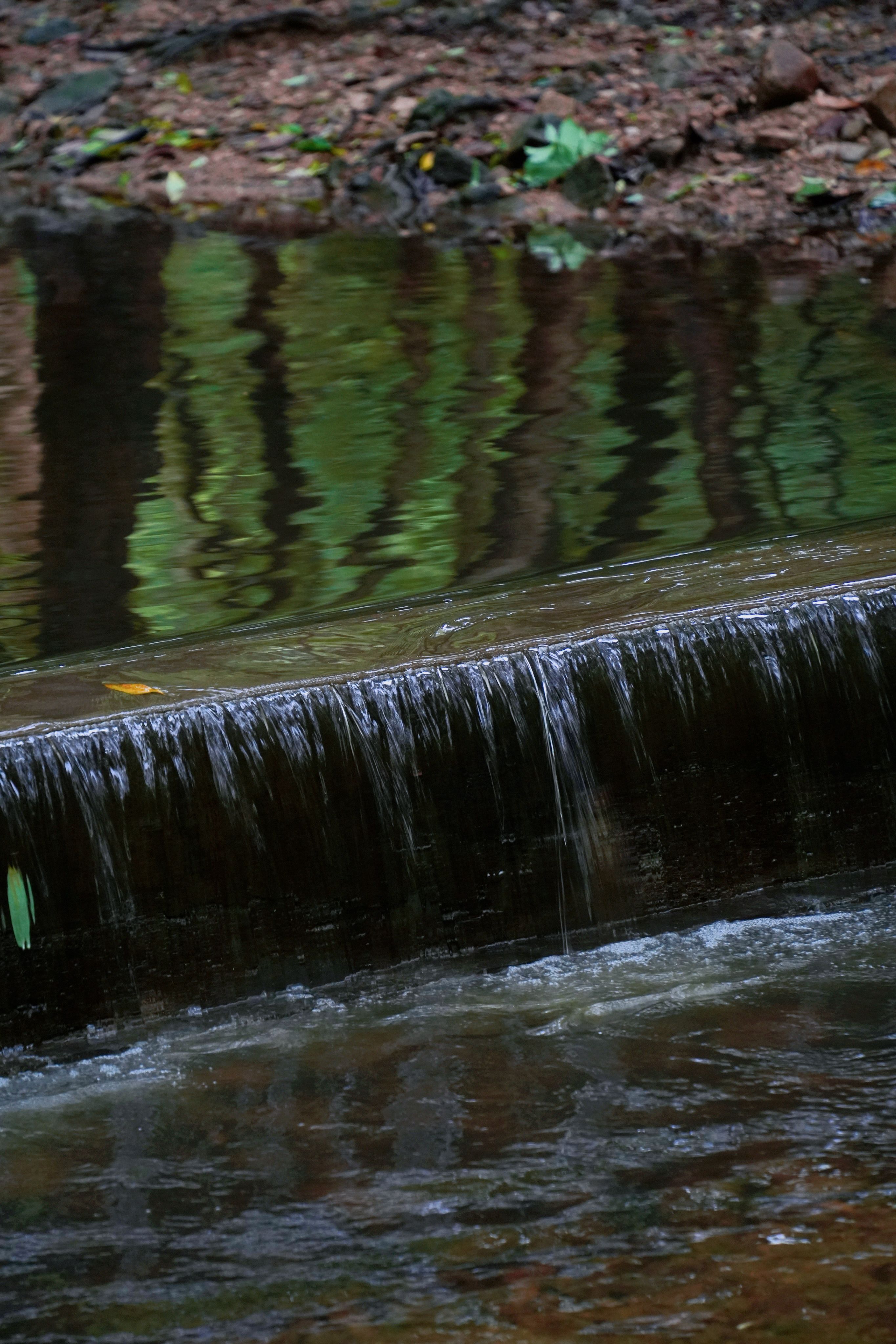 Stream Flowing down a Step · Free Stock Photo
